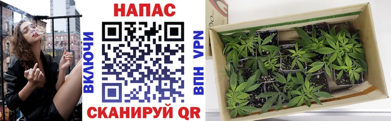 Купить наркоту Лебедянь Гашиш  А ПВП  МЕФ  Cocaine 