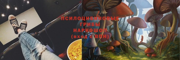 мет Арсеньев